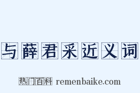 与薛君采近义词是什么意思的图片